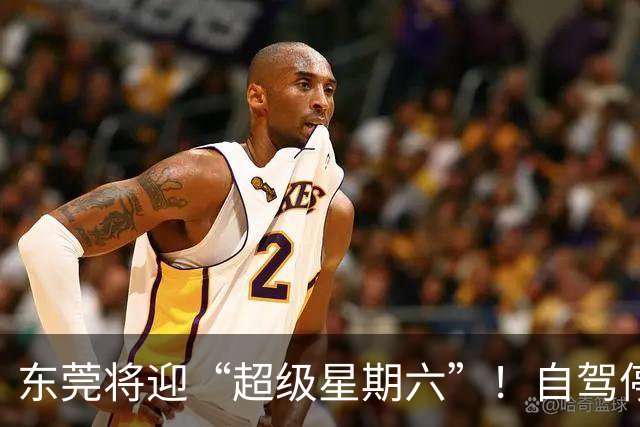 东莞将迎“超级星期六”！自驾停车、接驳车这样安排！