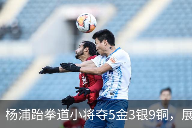 杨浦跆拳道小将夺5金3银9铜，展现超强实力