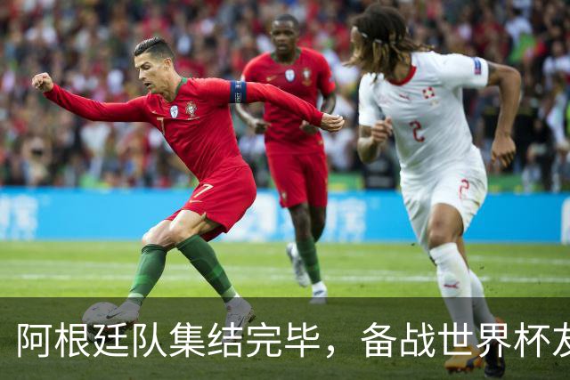 阿根廷队集结完毕，备战世界杯友谊赛！小蜘蛛阿尔瓦雷斯领衔出征