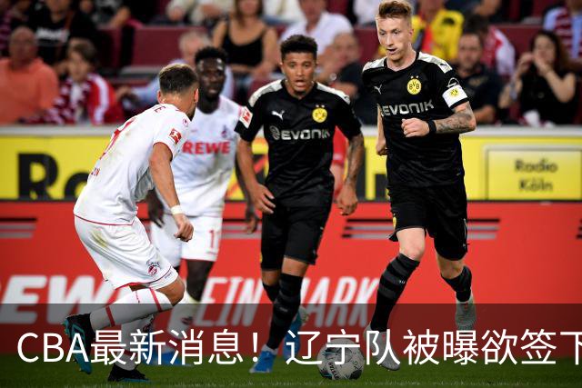 CBA最新消息！辽宁队被曝欲签下广东2米04锋线，朱芳雨默认放人！
